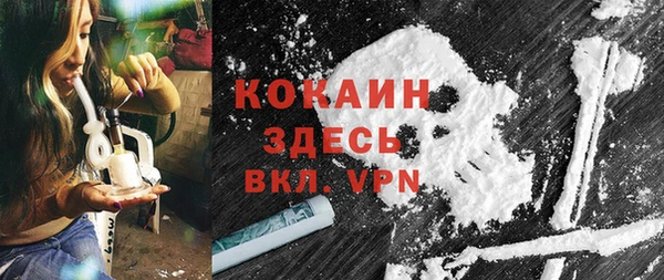шишки Ахтубинск